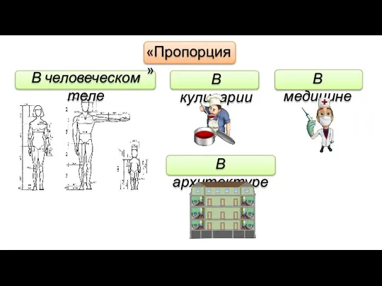 В человеческом теле «Пропорция» В кулинарии В медицине В архитектуре