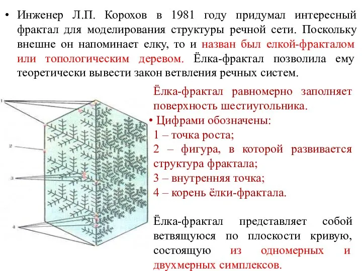 Инженер Л.П. Корохов в 1981 году придумал интересный фрактал для моделирования