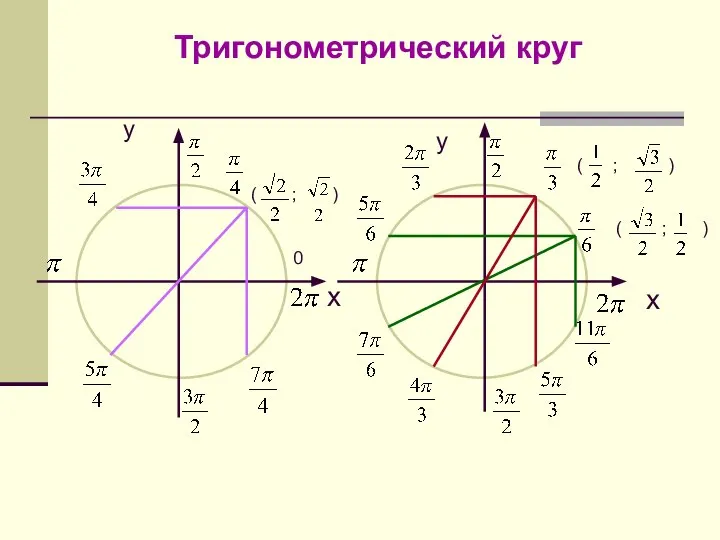 Тригонометрический круг