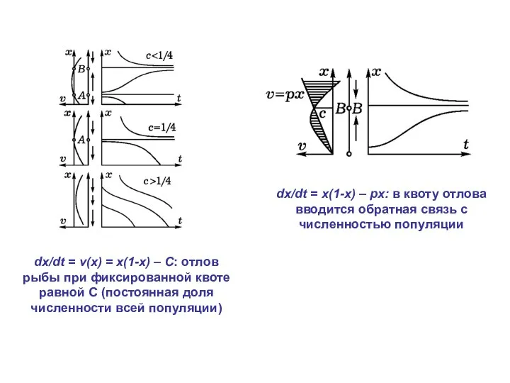 dx/dt = v(x) = x(1-x) – C: отлов рыбы при фиксированной