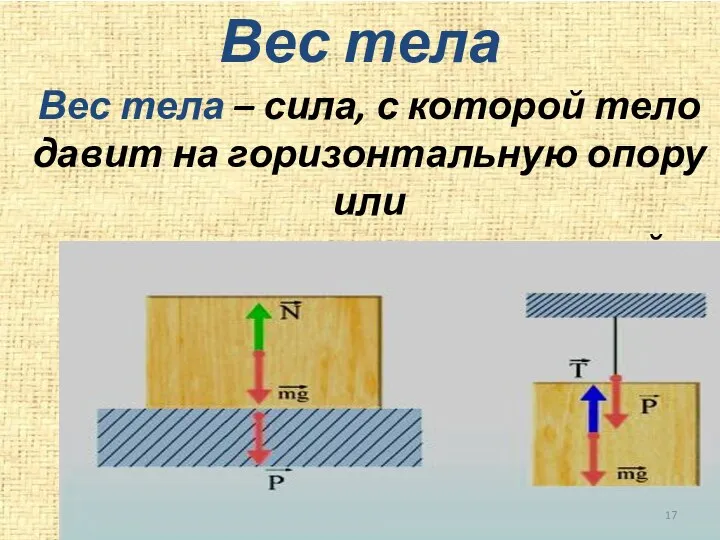 Вес тела Вес тела – сила, с которой тело давит на