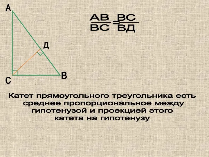 А В С Д Катет прямоугольного треугольника есть среднее пропорциональное между