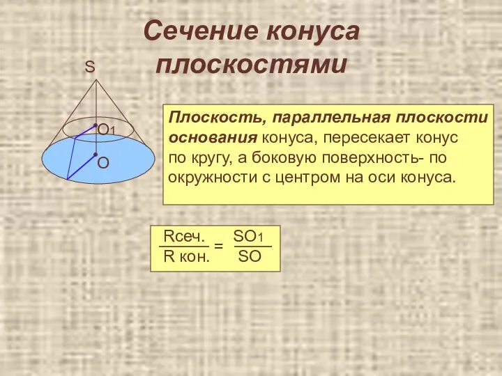 Сечение конуса плоскостями • О О1 S Плоскость, параллельная плоскости основания