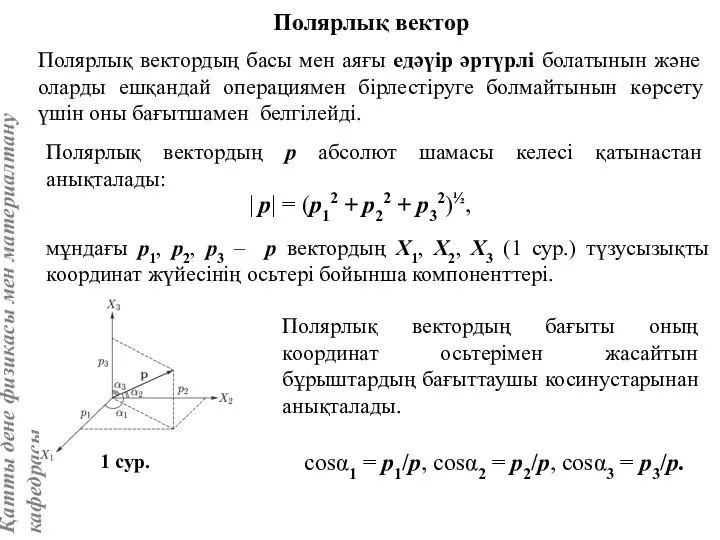 Полярлық вектор мұндағы р1, р2, р3 – р вектордың Х1, Х2,