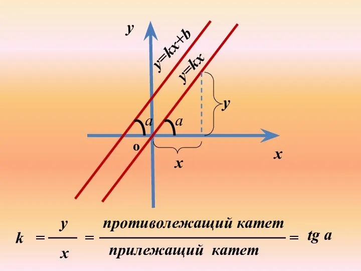 y=kx k = x y = противолежащий катет прилежащий катет =