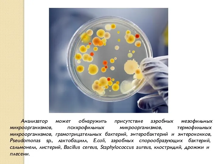 Анализатор может обнаружить присутствие аэробных мезофильных микроорганизмов, психрофильных микроорганизмов, термофильных микроорганизмов,