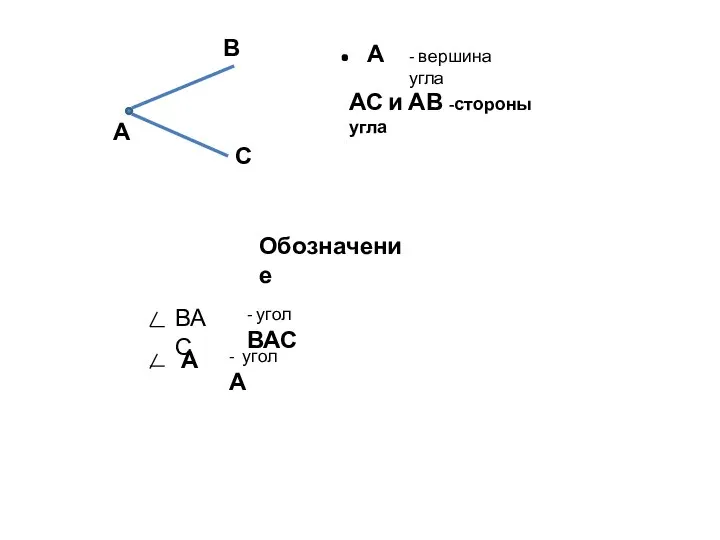 А В С . А - вершина угла АС и АВ