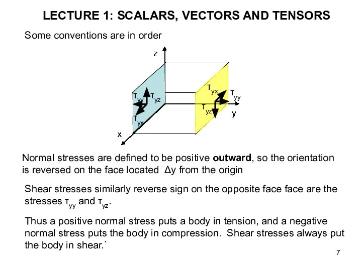 LECTURE 1: SCALARS, VECTORS AND TENSORS Some conventions are in order