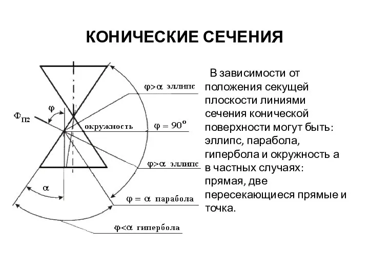 КОНИЧЕСКИЕ СЕЧЕНИЯ В зависимости от положения секущей плоскости линиями сечения конической