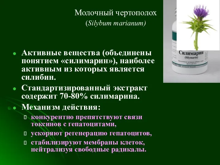 Молочный чертополох (Silybum marianum) Активные вещества (объединены понятием «силимарин»), наиболее активным