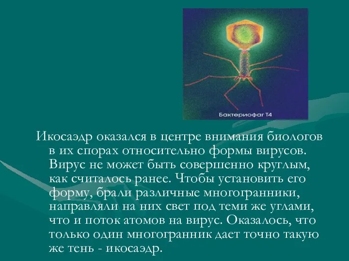 Икосаэдр оказался в центре внимания биологов в их спорах относительно формы