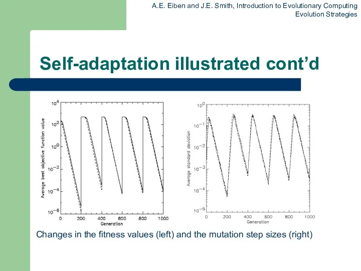 Self-adaptation illustrated cont’d Changes in the fitness values (left) and the mutation step sizes (right)