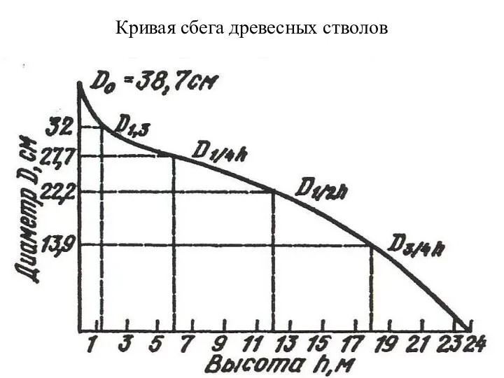 Кривая сбега древесных стволов