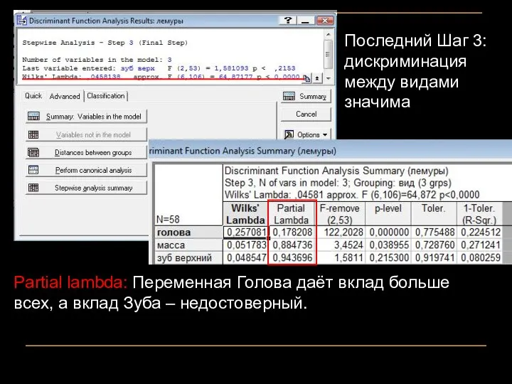 Последний Шаг 3: дискриминация между видами значима Partial lambda: Переменная Голова