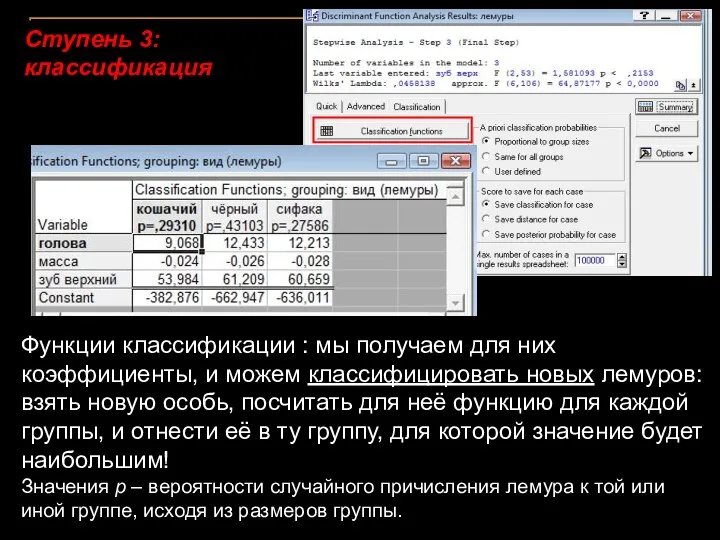 Ступень 3: классификация Функции классификации : мы получаем для них коэффициенты,