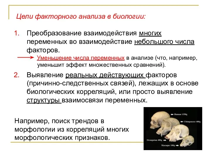 Цели факторного анализа в биологии: Преобразование взаимодействия многих переменных во взаимодействие