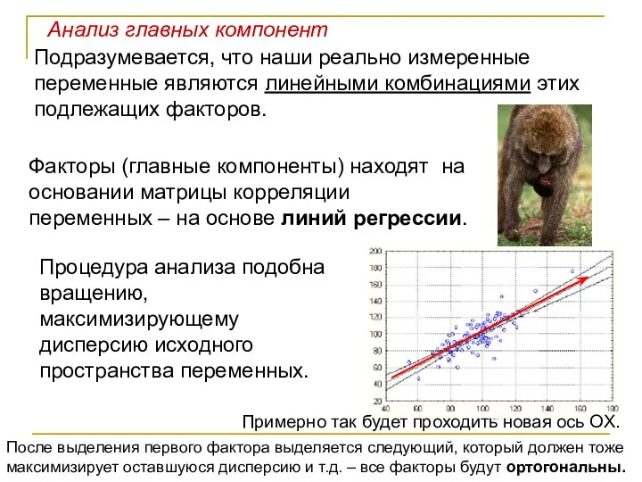 Подразумевается, что наши реально измеренные переменные являются линейными комбинациями этих подлежащих