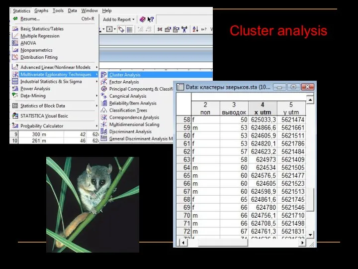 Cluster analysis