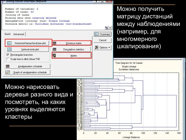 Можно нарисовать деревья разного вида и посмотреть, на каких уровнях выделяются