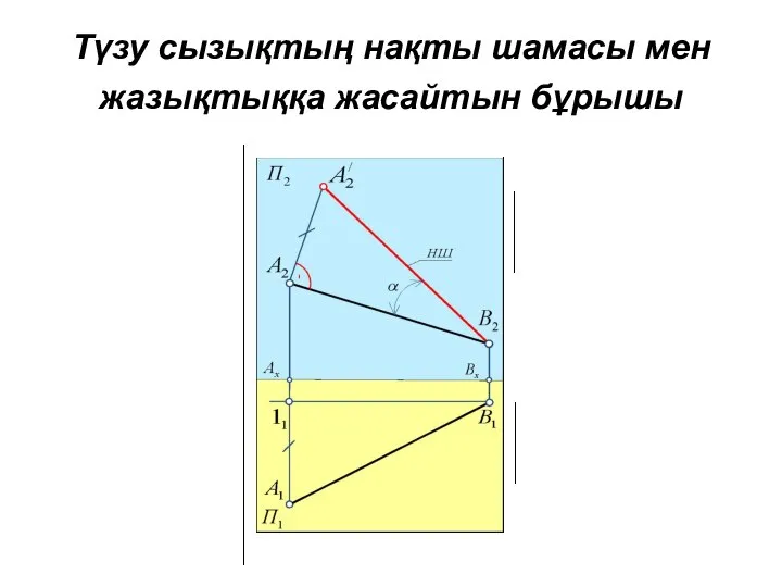 Түзу сызықтың нақты шамасы мен жазықтыққа жасайтын бұрышы