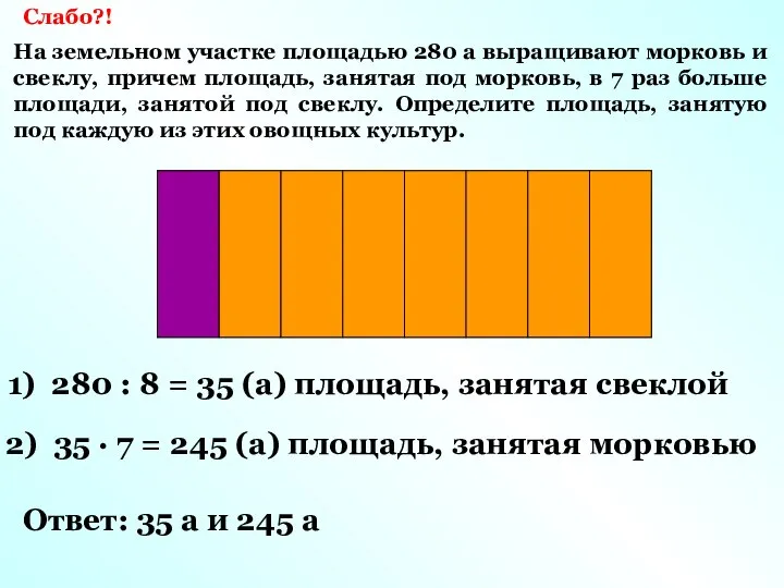 Слабо?! На земельном участке площадью 280 а выращивают морковь и свеклу,