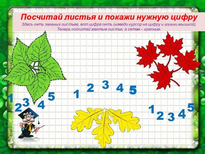 3 Посчитай листья и покажи нужную цифру Здесь пять зеленых листьев,