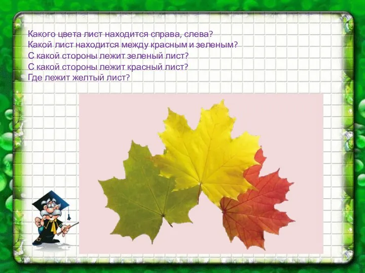 Какого цвета лист находится справа, слева? Какой лист находится между красным