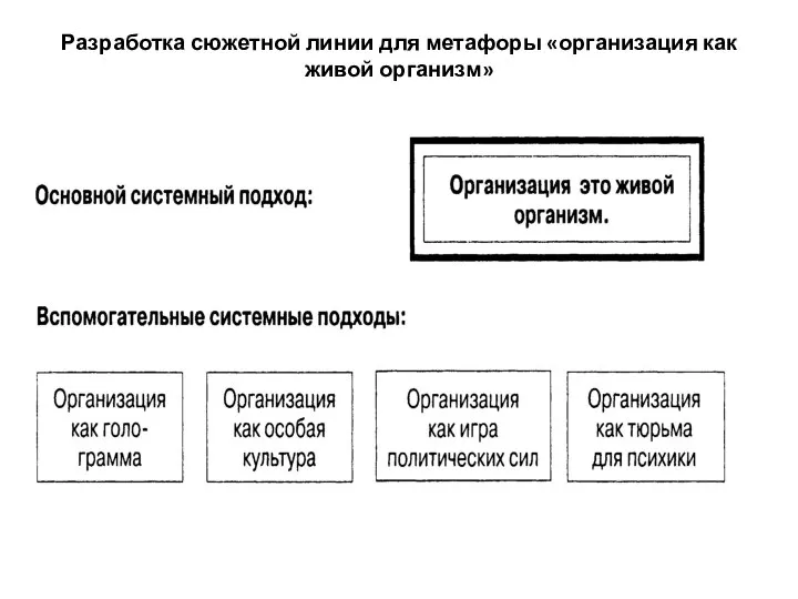 Разработка сюжетной линии для метафоры «организация как живой организм»