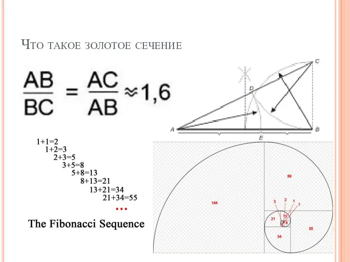 Что такое золотое сечение