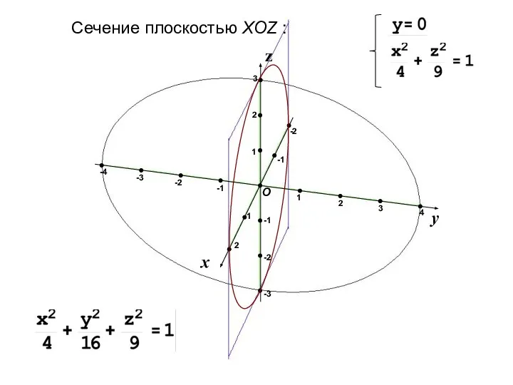 Сечение плоскостью XOZ :