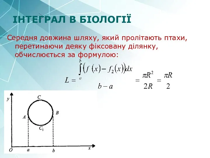 ІНТЕГРАЛ В БІОЛОГІЇ Середня довжина шляху, який пролітають птахи, перетинаючи деяку фіксовану ділянку, обчислюється за формулою: