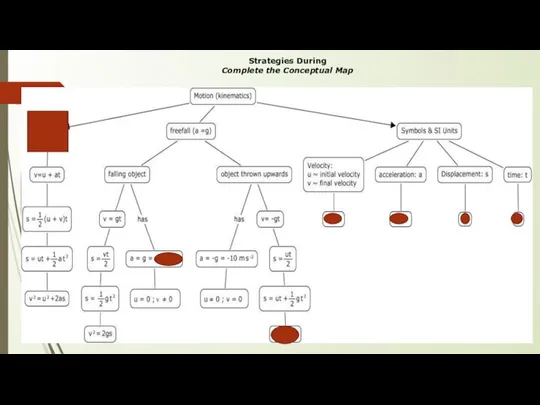 Strategies During Complete the Conceptual Map