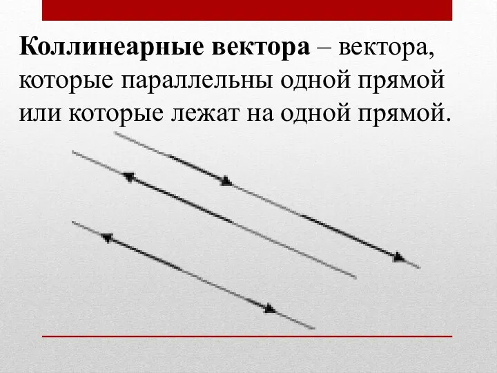 Коллинеарные вектора – вектора, которые параллельны одной прямой или которые лежат на одной прямой.