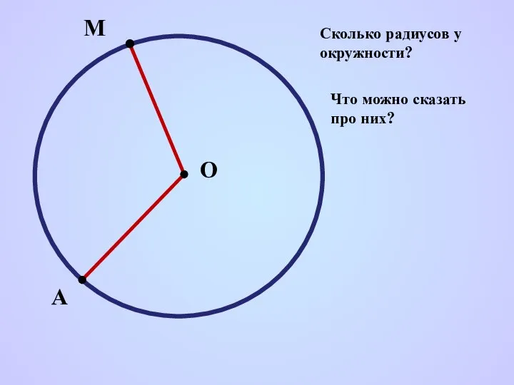 О М А Сколько радиусов у окружности? Что можно сказать про них?