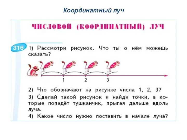 Координатный луч