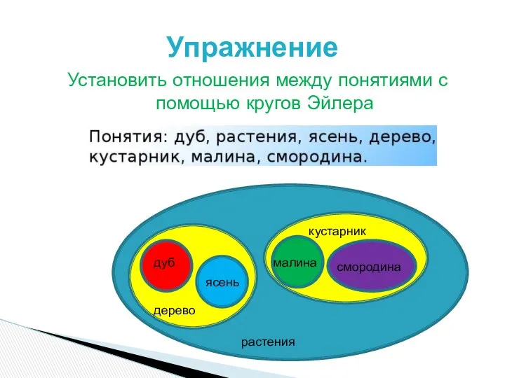 Установить отношения между понятиями с помощью кругов Эйлера Упражнение растения дерево кустарник дуб ясень малина смородина