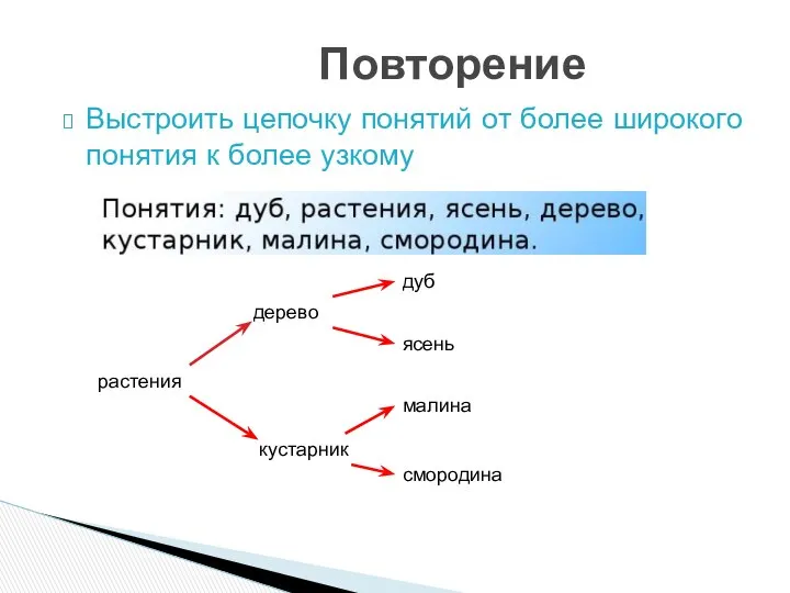 Выстроить цепочку понятий от более широкого понятия к более узкому Повторение