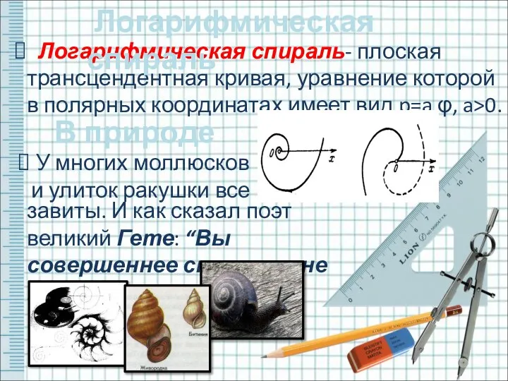 Логарифмическая спираль- плоская трансцендентная кривая, уравнение которой в полярных координатах имеет