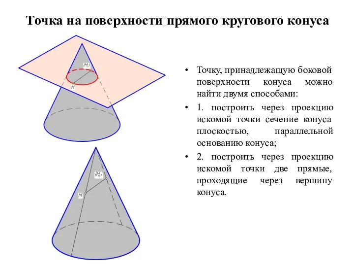 Точка на поверхности прямого кругового конуса Точку, принадлежащую боковой поверхности конуса