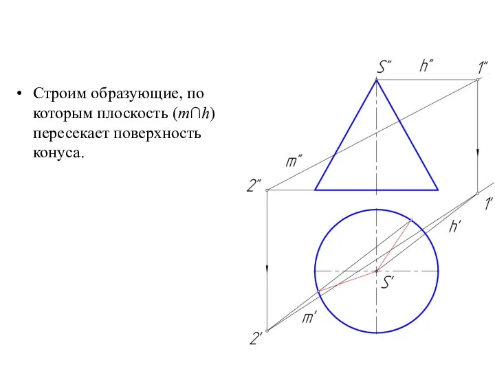 Строим образующие, по которым плоскость (m∩h) пересекает поверхность конуса.