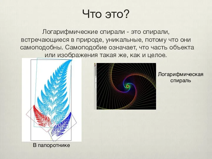 Что это? Логарифмические спирали - это спирали, встречающиеся в природе, уникальные,