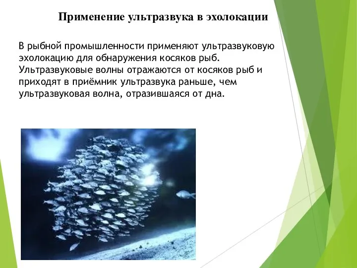 В рыбной промышленности применяют ультразвуковую эхолокацию для обнаружения косяков рыб. Ультразвуковые