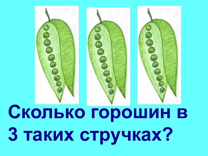 Сколько горошин в 3 таких стручках?