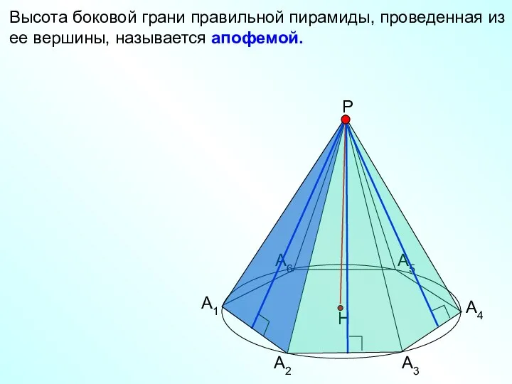 Высота боковой грани правильной пирамиды, проведенная из ее вершины, называется апофемой.