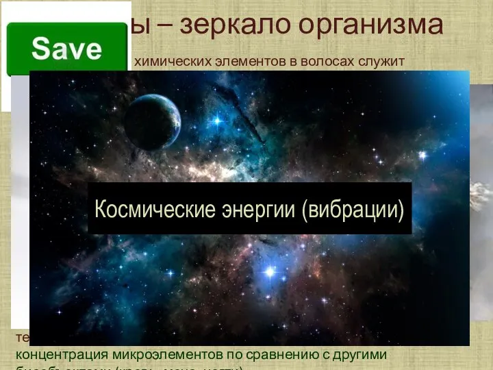 Волосы – зеркало организма Определение химических элементов в волосах служит объективным