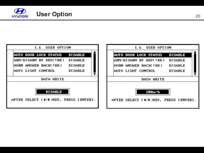 User Option