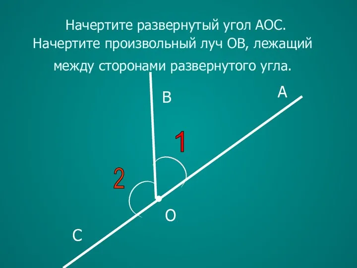 1 A B C O Начертите развернутый угол АОС. Начертите произвольный