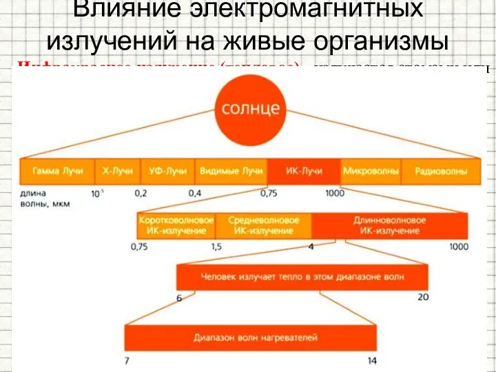 Влияние электромагнитных излучений на живые организмы Инфракрасное излучение (тепловое) - излучается