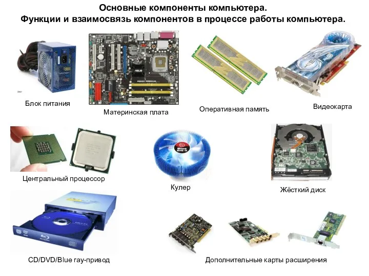 Основные компоненты компьютера. Функции и взаимосвязь компонентов в процессе работы компьютера.