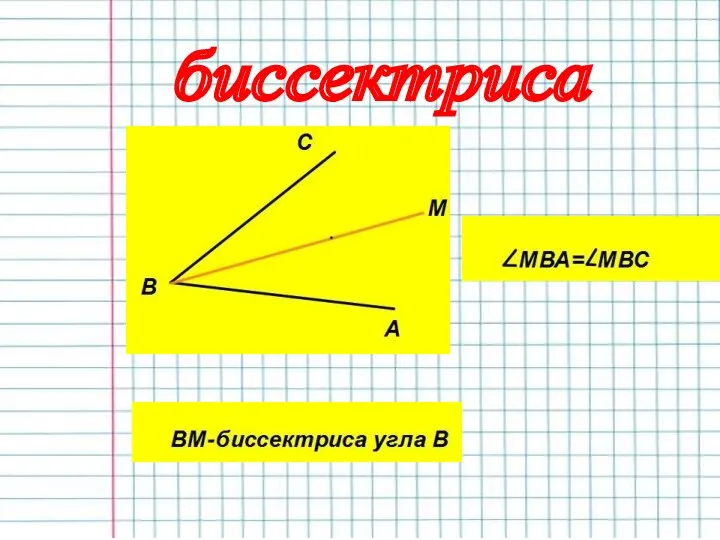 биссектриса